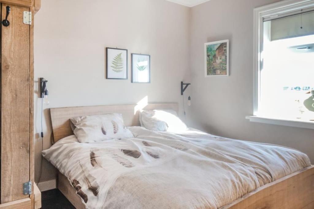 Logies De Hooiberg Apartment Lutjewinkel Екстериор снимка